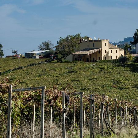 Masseria Del Vino Βίλα Loreto Aprutino Εξωτερικό φωτογραφία