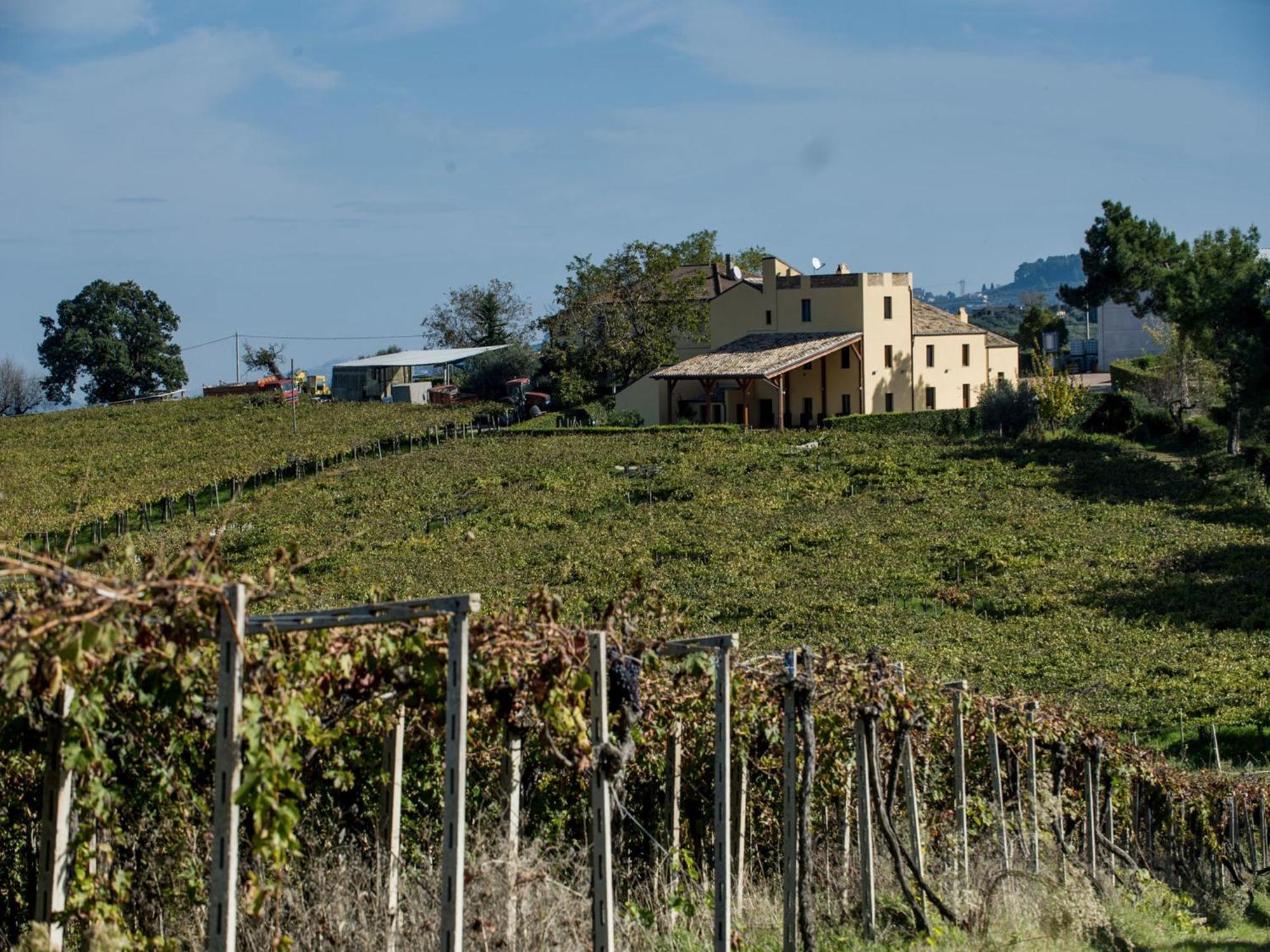 Masseria Del Vino Βίλα Loreto Aprutino Εξωτερικό φωτογραφία