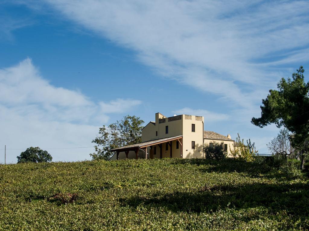 Masseria Del Vino Βίλα Loreto Aprutino Εξωτερικό φωτογραφία