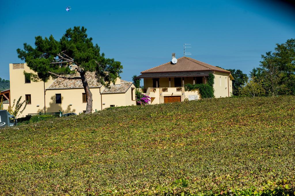 Masseria Del Vino Βίλα Loreto Aprutino Εξωτερικό φωτογραφία