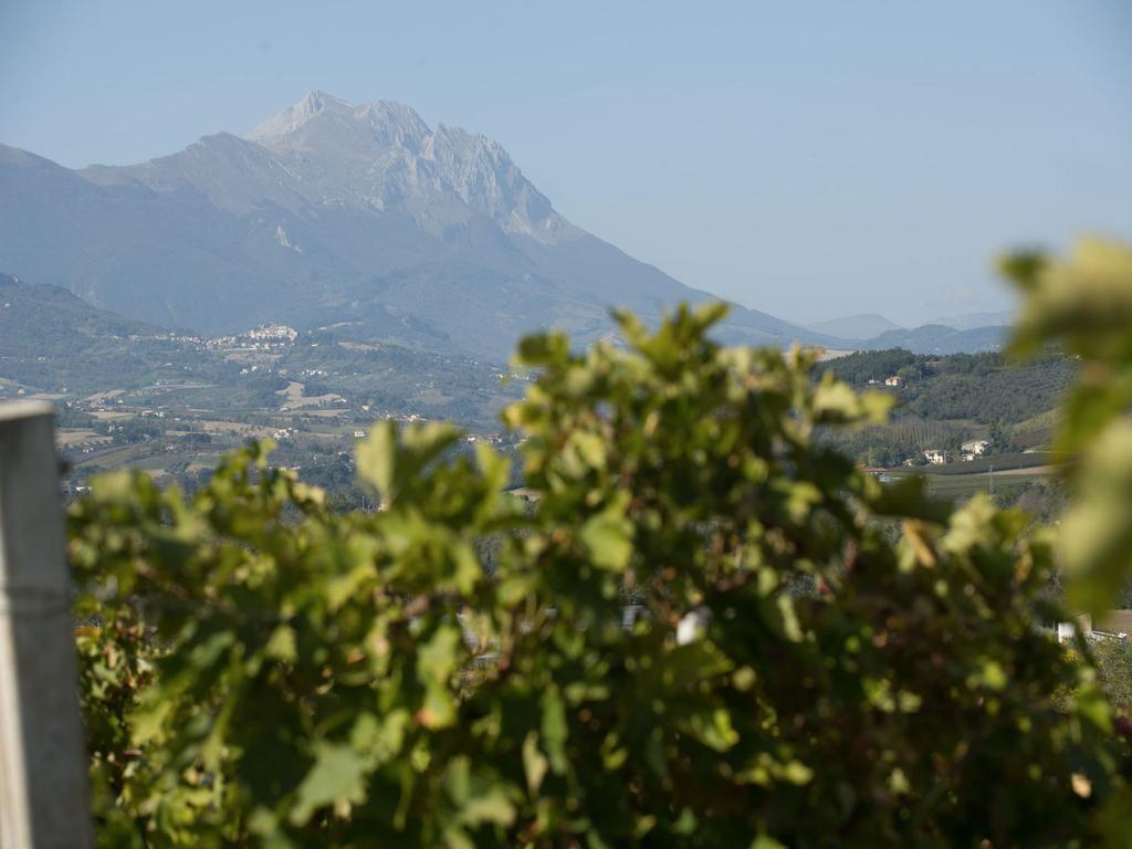 Masseria Del Vino Βίλα Loreto Aprutino Εξωτερικό φωτογραφία