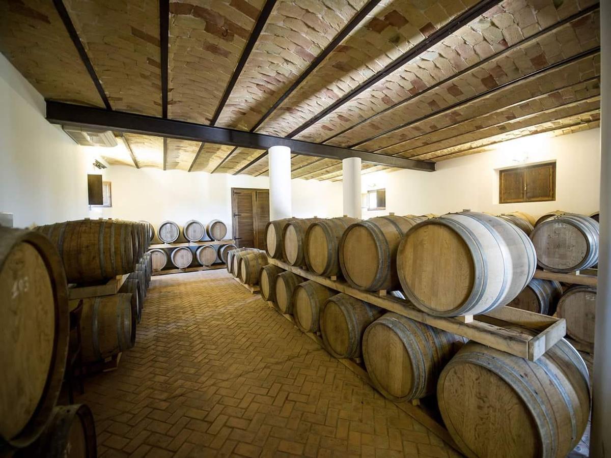 Masseria Del Vino Βίλα Loreto Aprutino Εξωτερικό φωτογραφία