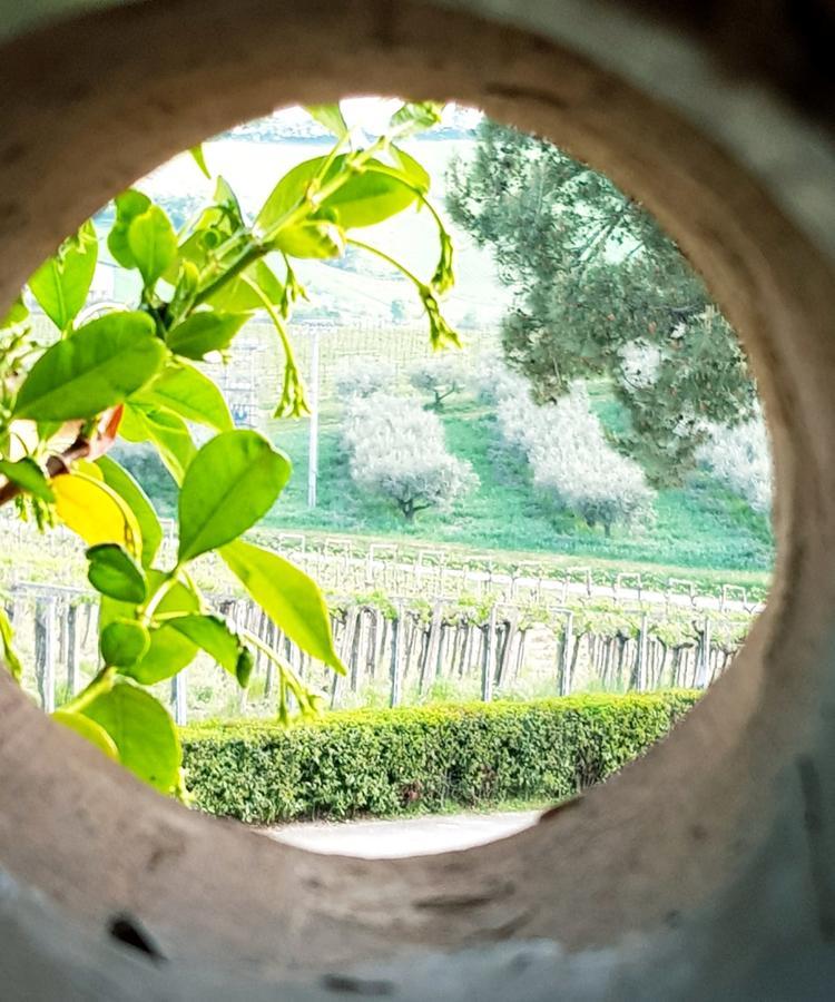 Masseria Del Vino Βίλα Loreto Aprutino Εξωτερικό φωτογραφία