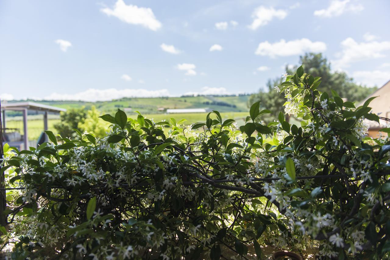 Masseria Del Vino Βίλα Loreto Aprutino Εξωτερικό φωτογραφία