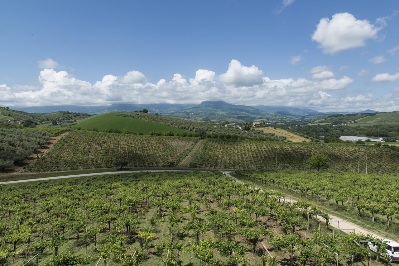 Masseria Del Vino Βίλα Loreto Aprutino Εξωτερικό φωτογραφία